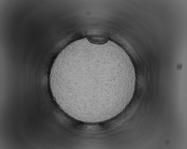 X0000102860401200809081311