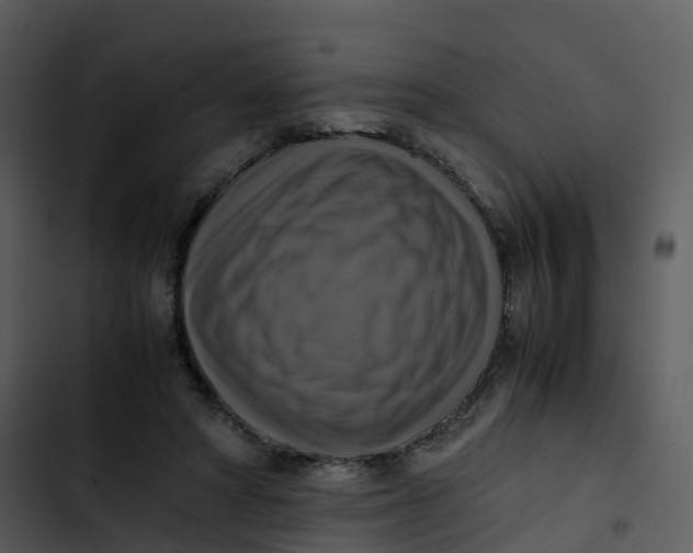 X0000102860402200809081311