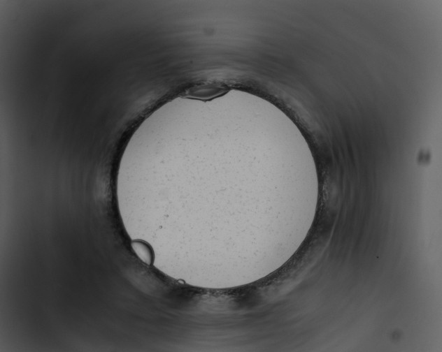 X0000102860403200809081311