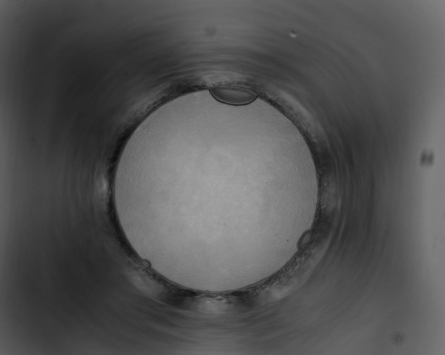 X0000102860405200809081311