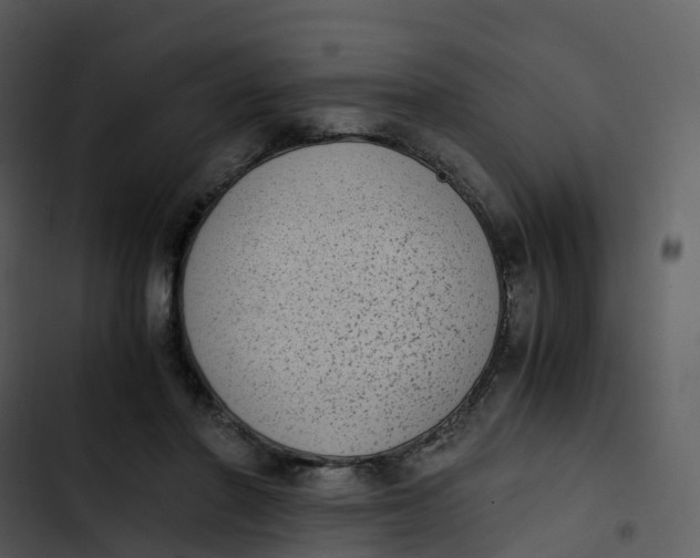 X0000102860406200809081311