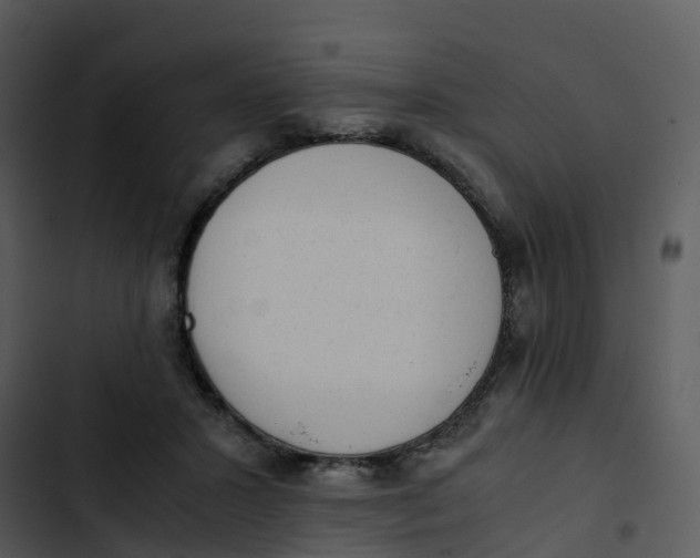 X0000102860407200809081311