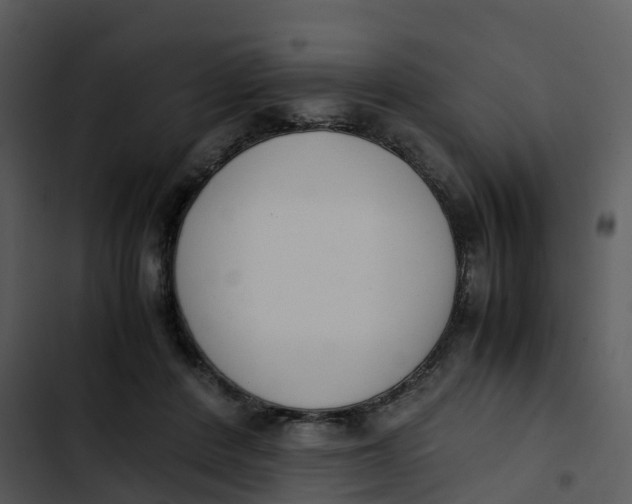 X0000102860408200809081311