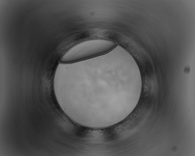 X0000102860409200809081311