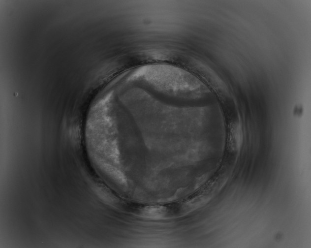 X0000102860410200809081311