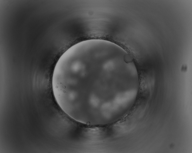 X0000102860411200809081311