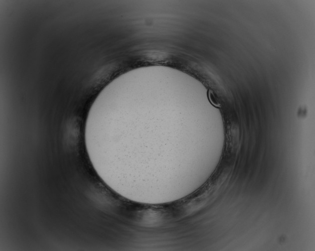 X0000102860412200809081311