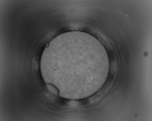 X0000102860413200809081311