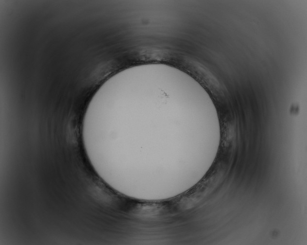 X0000102860414200809081311