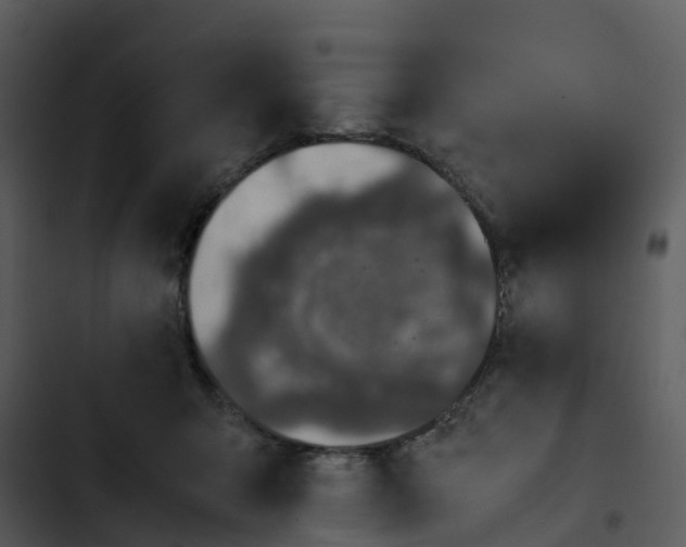 X0000102860415200809081311