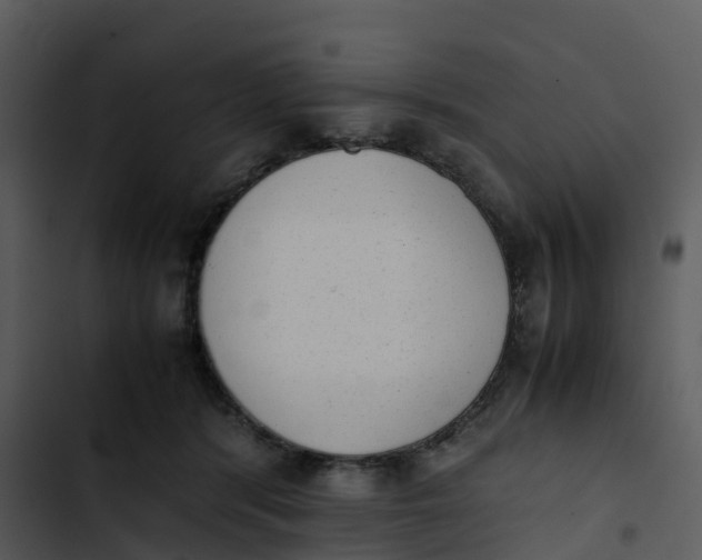 X0000102860416200809081311