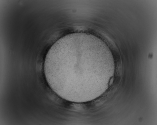 X0000102860417200809081311