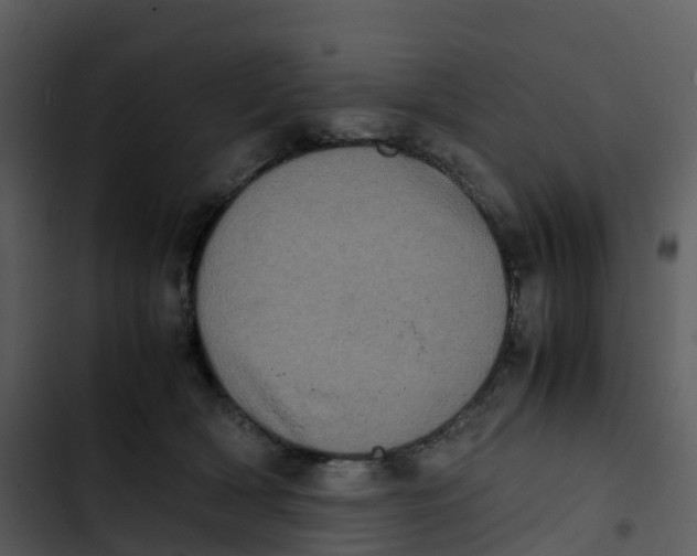 X0000102860418200809081311