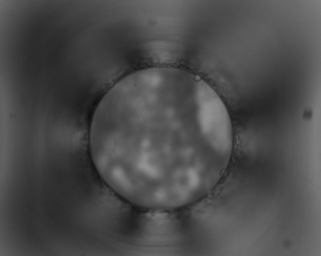 X0000102860419200809081311