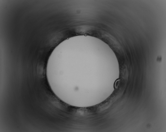 X0000102860420200809081311