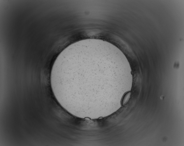 X0000102860421200809081311