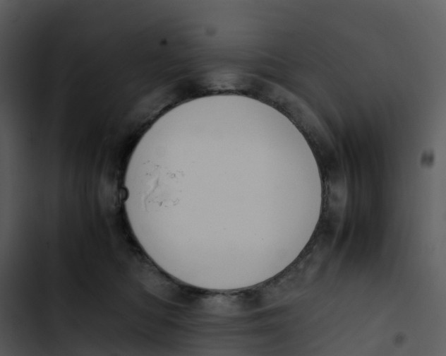 X0000102860422200809081310