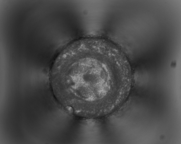 X0000102860423200809081310