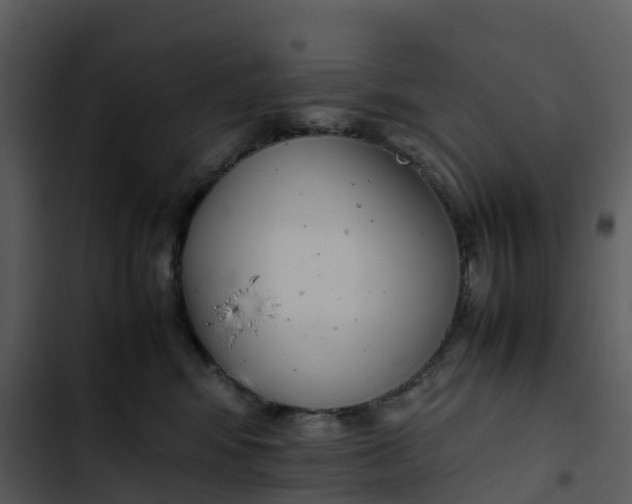 X0000102860424200809081310