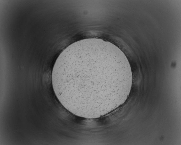 X0000102860425200809081310