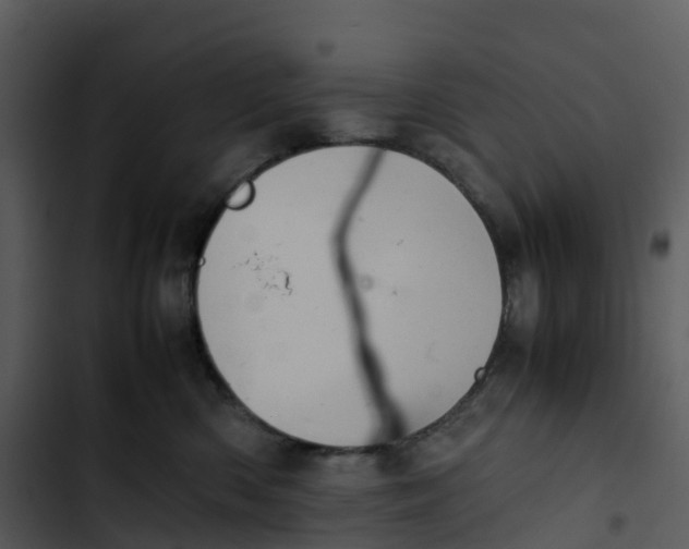 X0000102860426200809081310