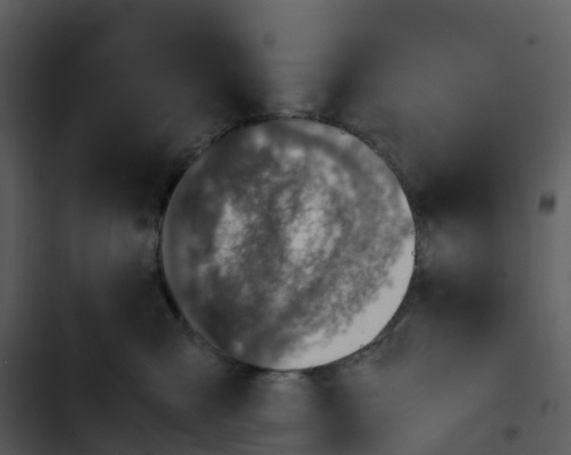 X0000102860427200809081310