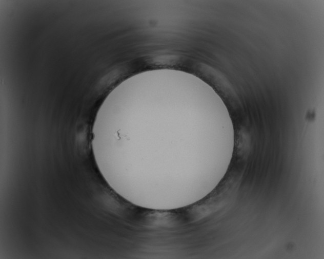 X0000102860428200809081310