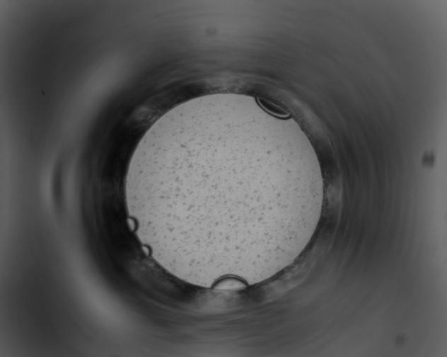 X0000102860429200809081310