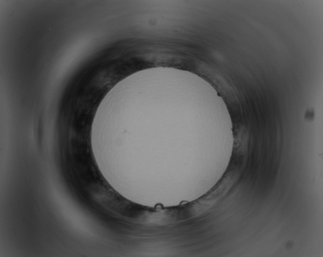 X0000102860430200809081310