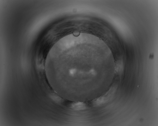 X0000102860431200809081310