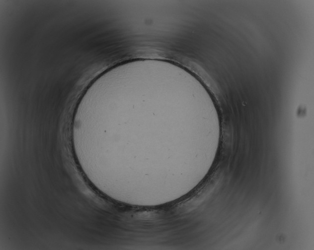 X0000102860433200809081310