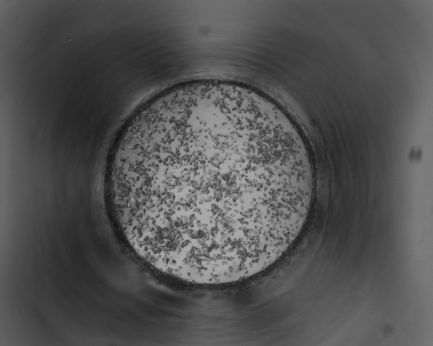 X0000102860434200809081310