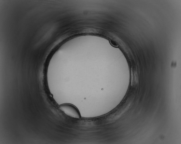 X0000102860435200809081310