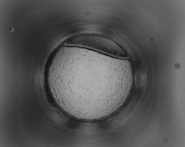 X0000102860436200809081310