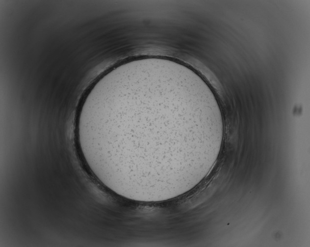 X0000102860437200809081310