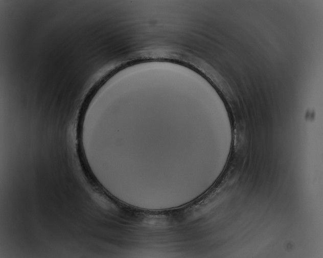 X0000102860438200809081310