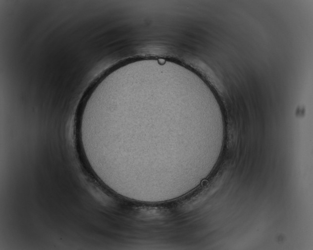 X0000102860439200809081310