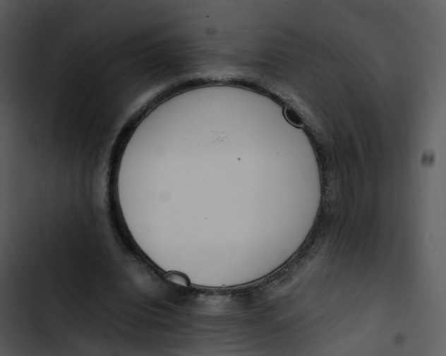 X0000102860440200809081310