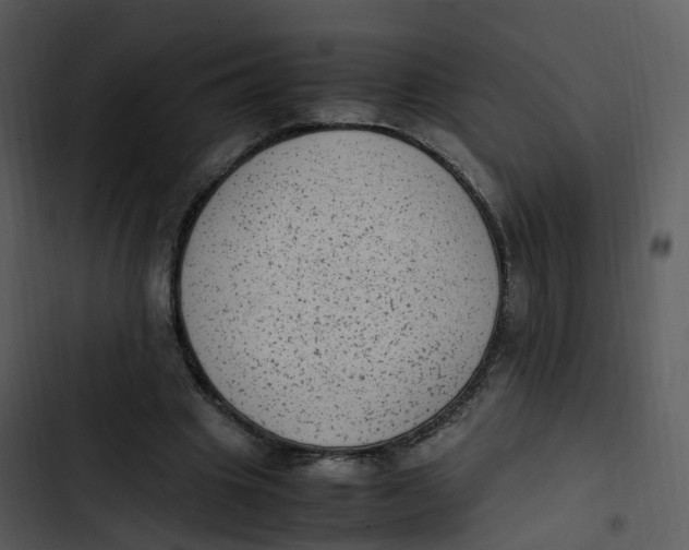 X0000102860441200809081310