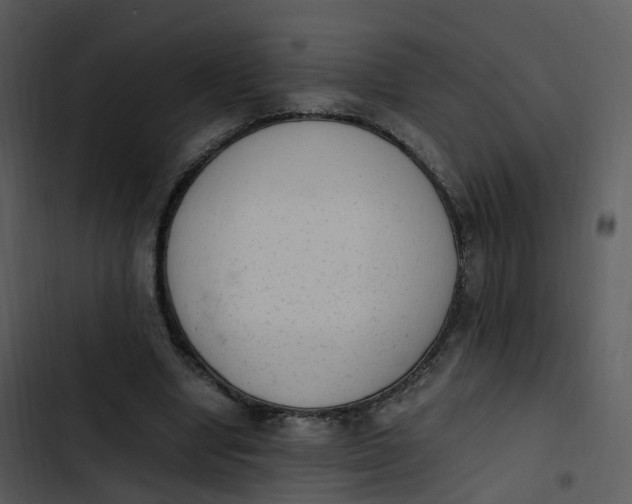 X0000102860442200809081310