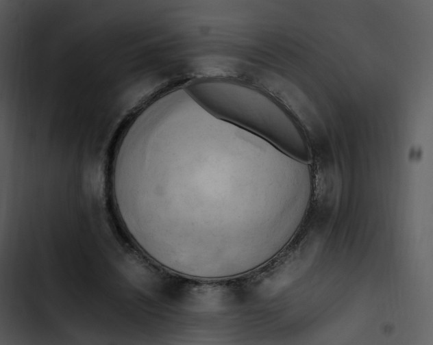 X0000102860444200809081310