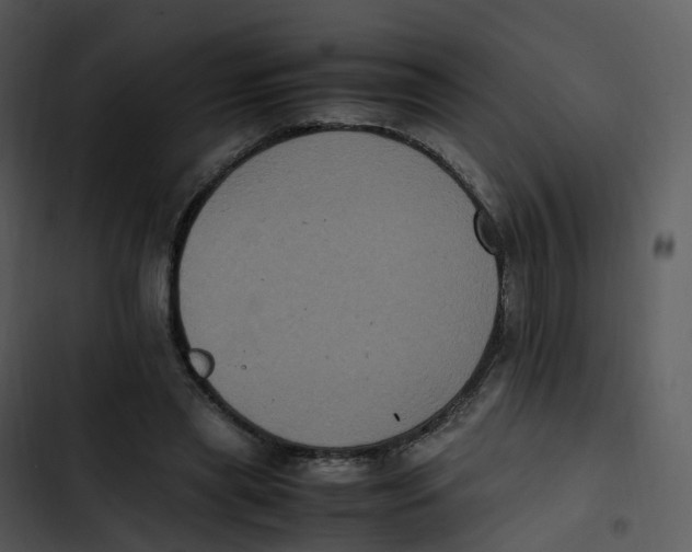 X0000102860445200809081310