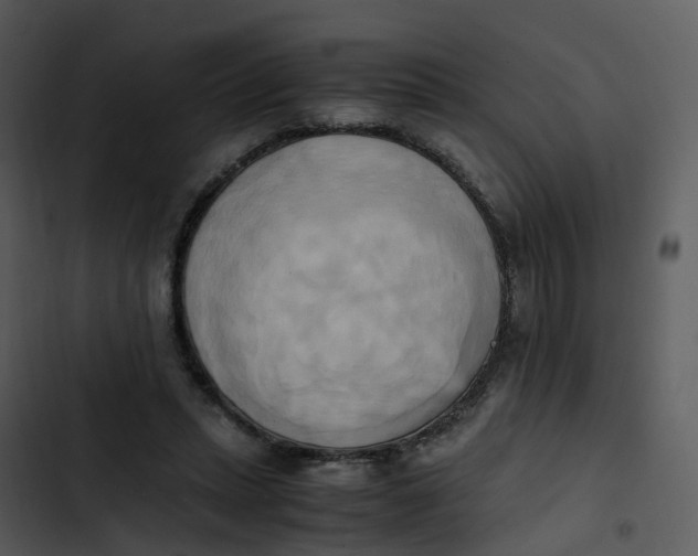 X0000102860447200809081310