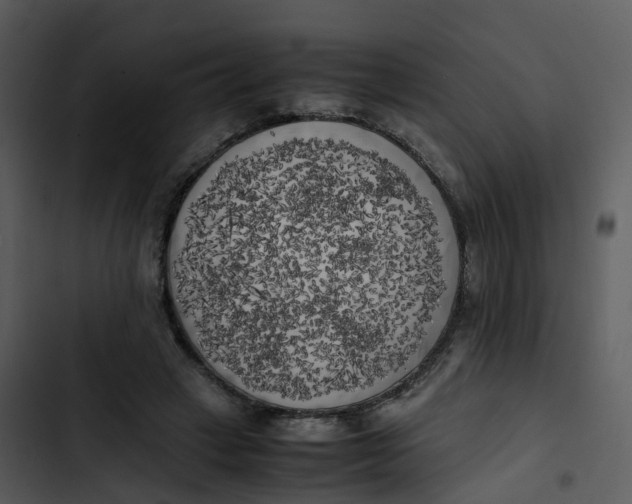 X0000102860449200809081310