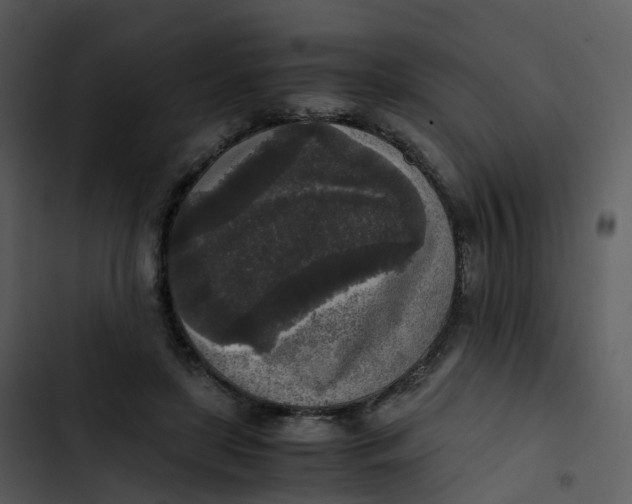 X0000102860451200809081310