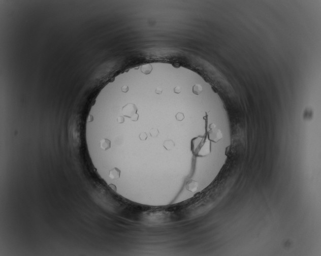 X0000102860452200809081310