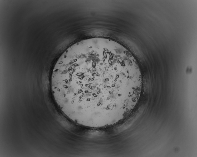 X0000102860453200809081310