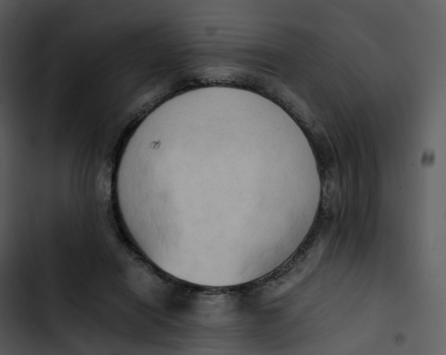 X0000102860454200809081310