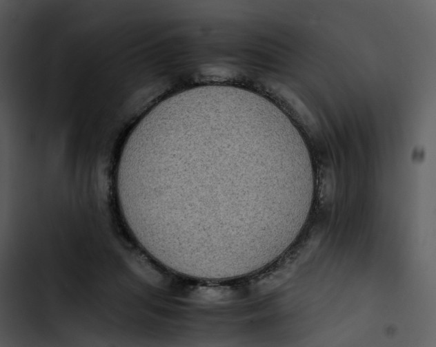 X0000102860455200809081310