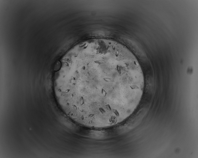 X0000102860457200809081310